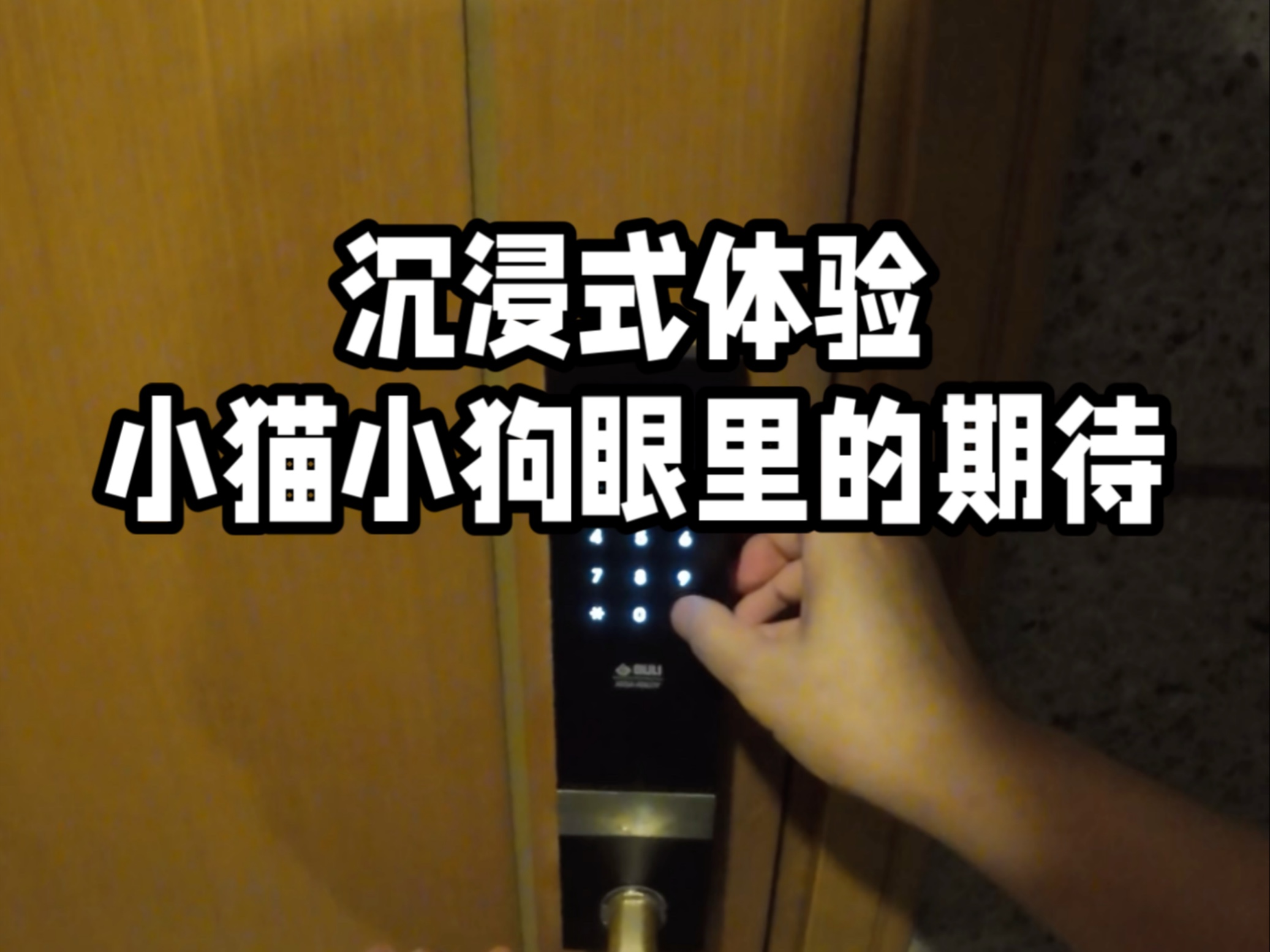 爱要互相陪伴，汉堡分你一半。