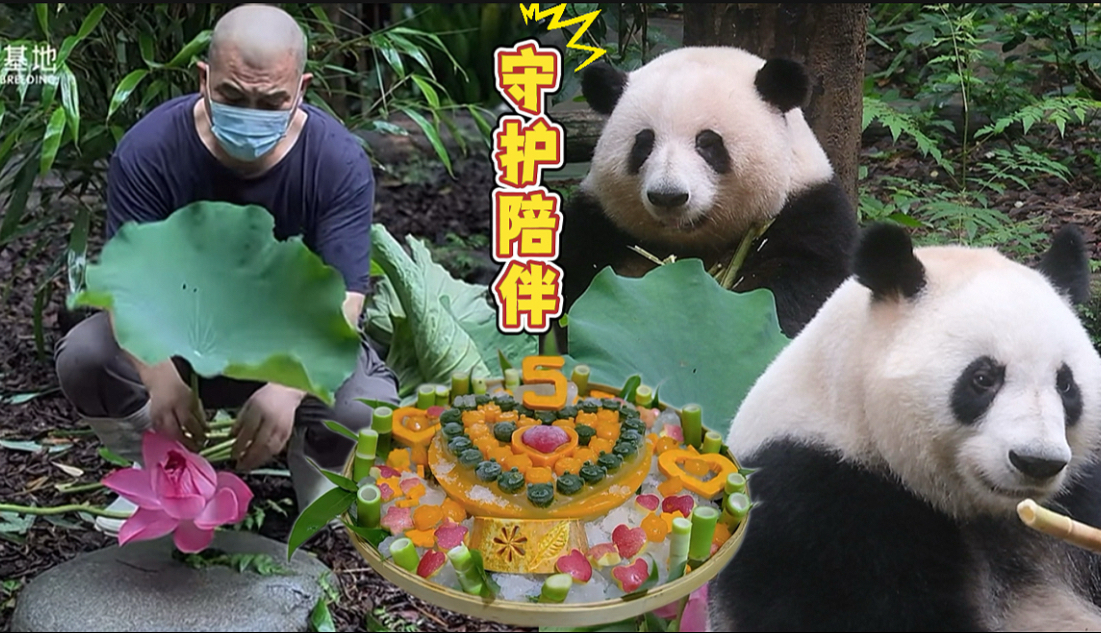 爷爷独自打着伞走进风雨中的池塘，为花叶亲手采摘荷花与荷叶。