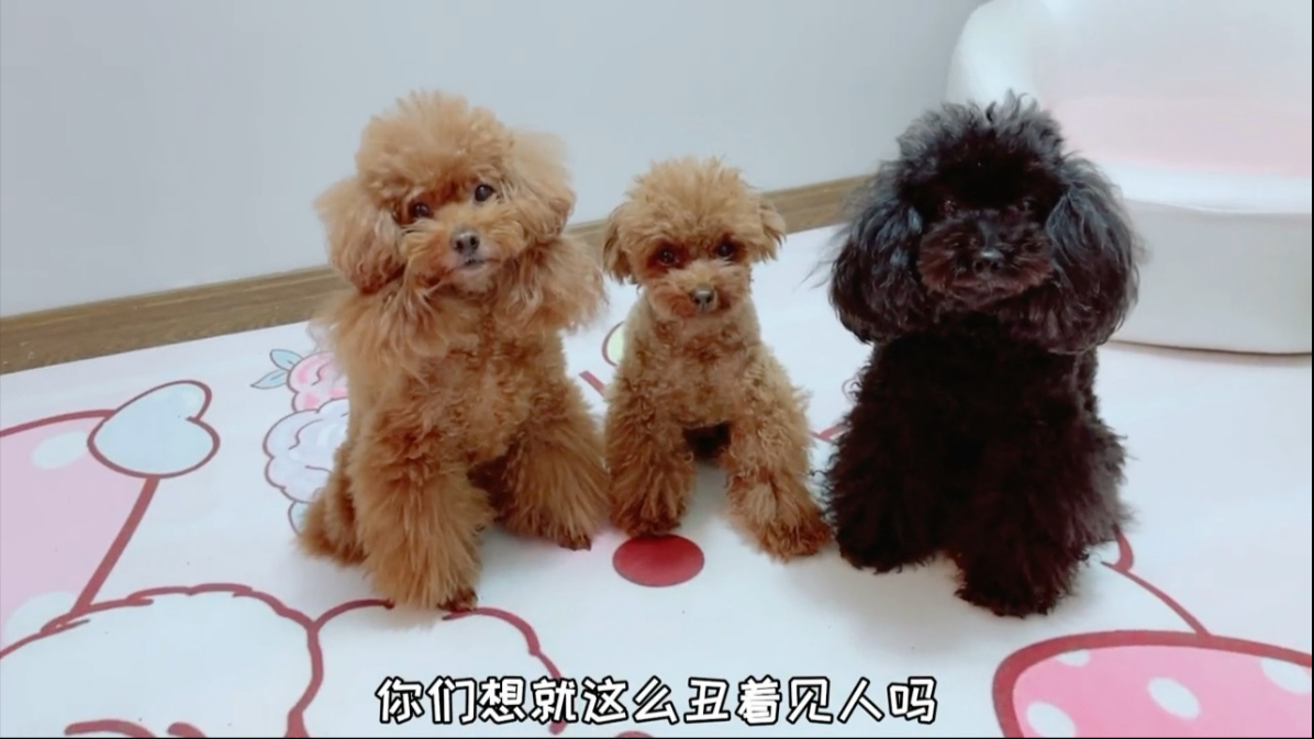 一说洗澡东躲西藏，艾米却因为妈妈一句话，哼着小曲儿主动去洗