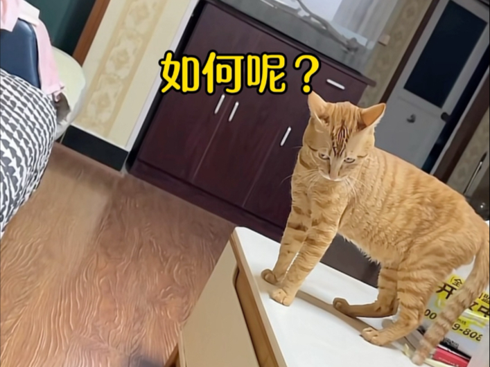 它一定是想钓我