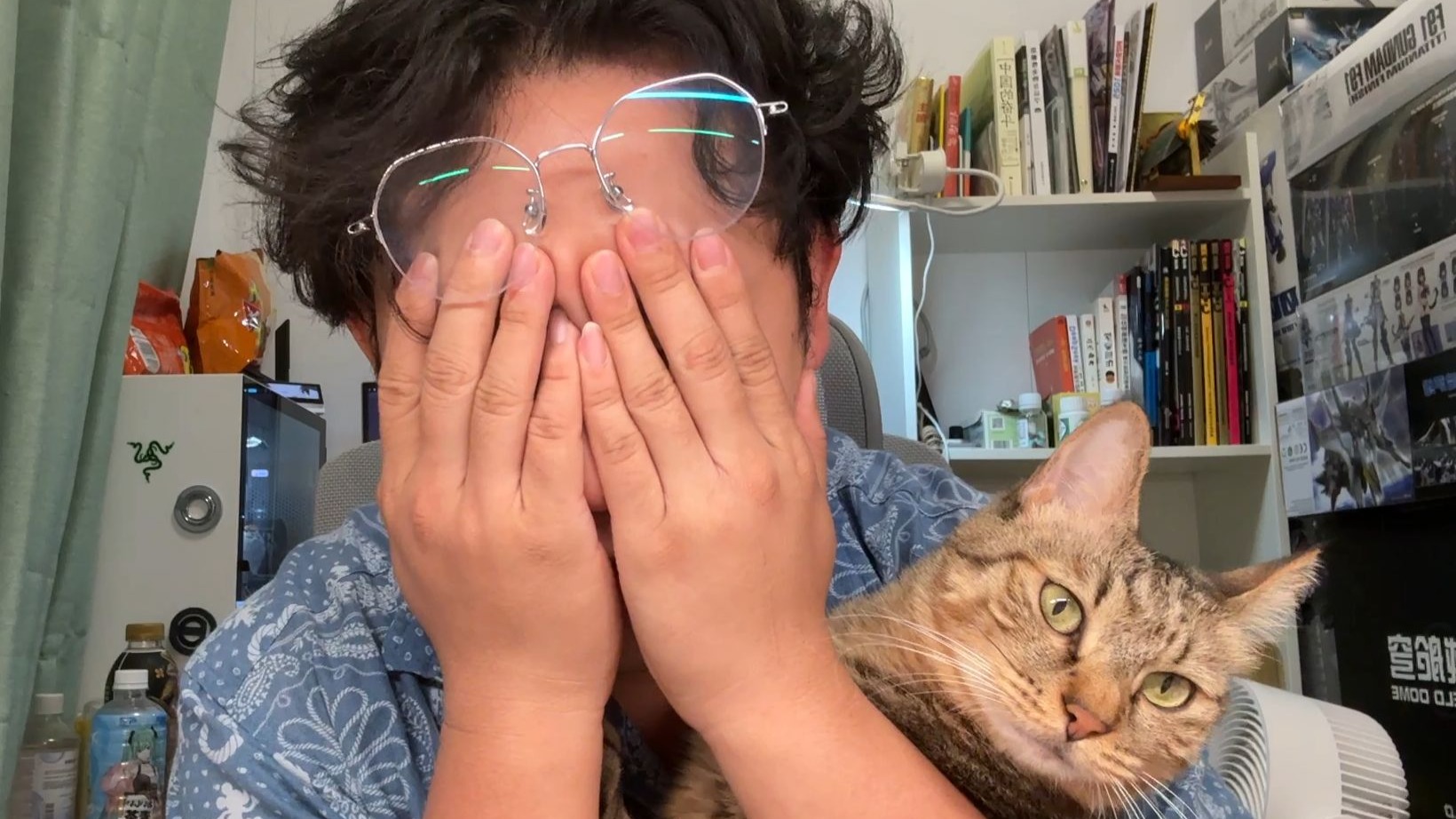 救猫年流水300万，我却为此陷入重度内耗