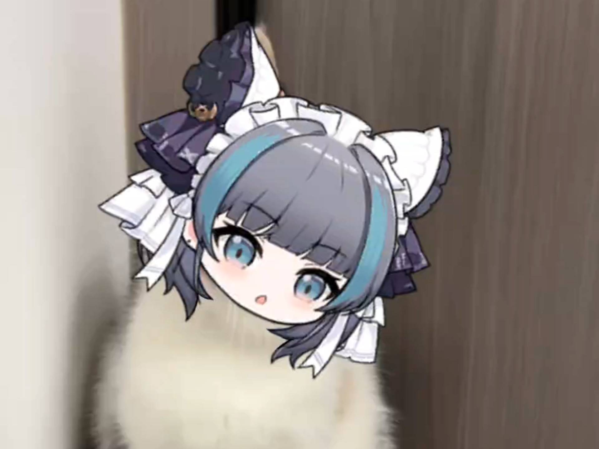 哦呀哦呀，你是大笨蛋！快把今天的饭端上来吧大笨蛋，猫猫柴要吃KF