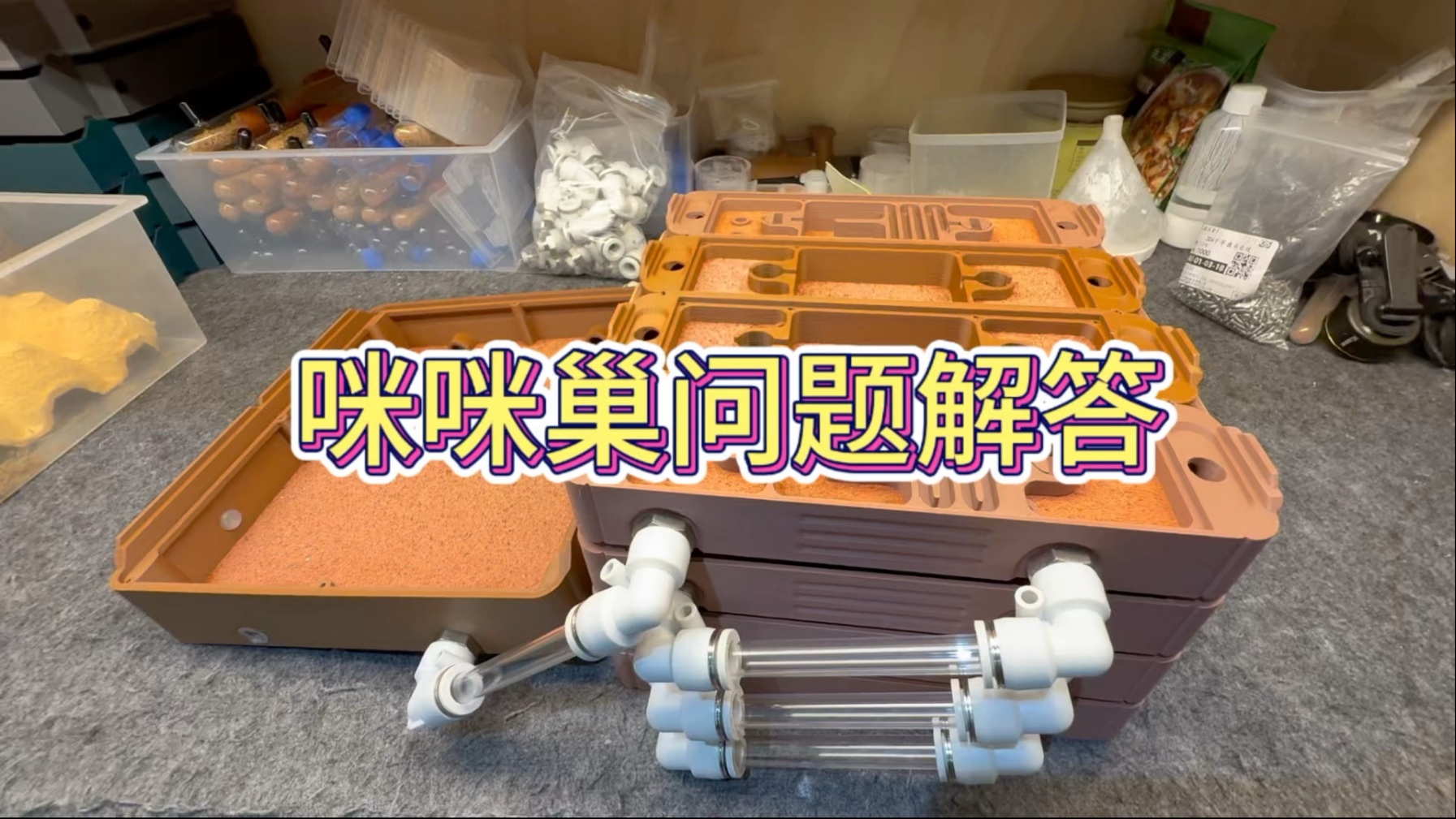 咪咪巢问题解答