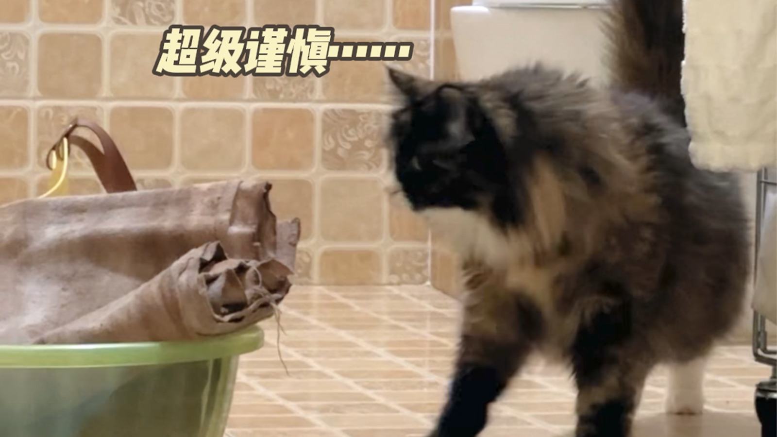 笑死！她到底在一惊一乍什么啊！