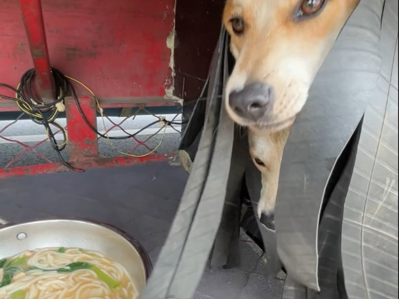 发个库存不介意吧？