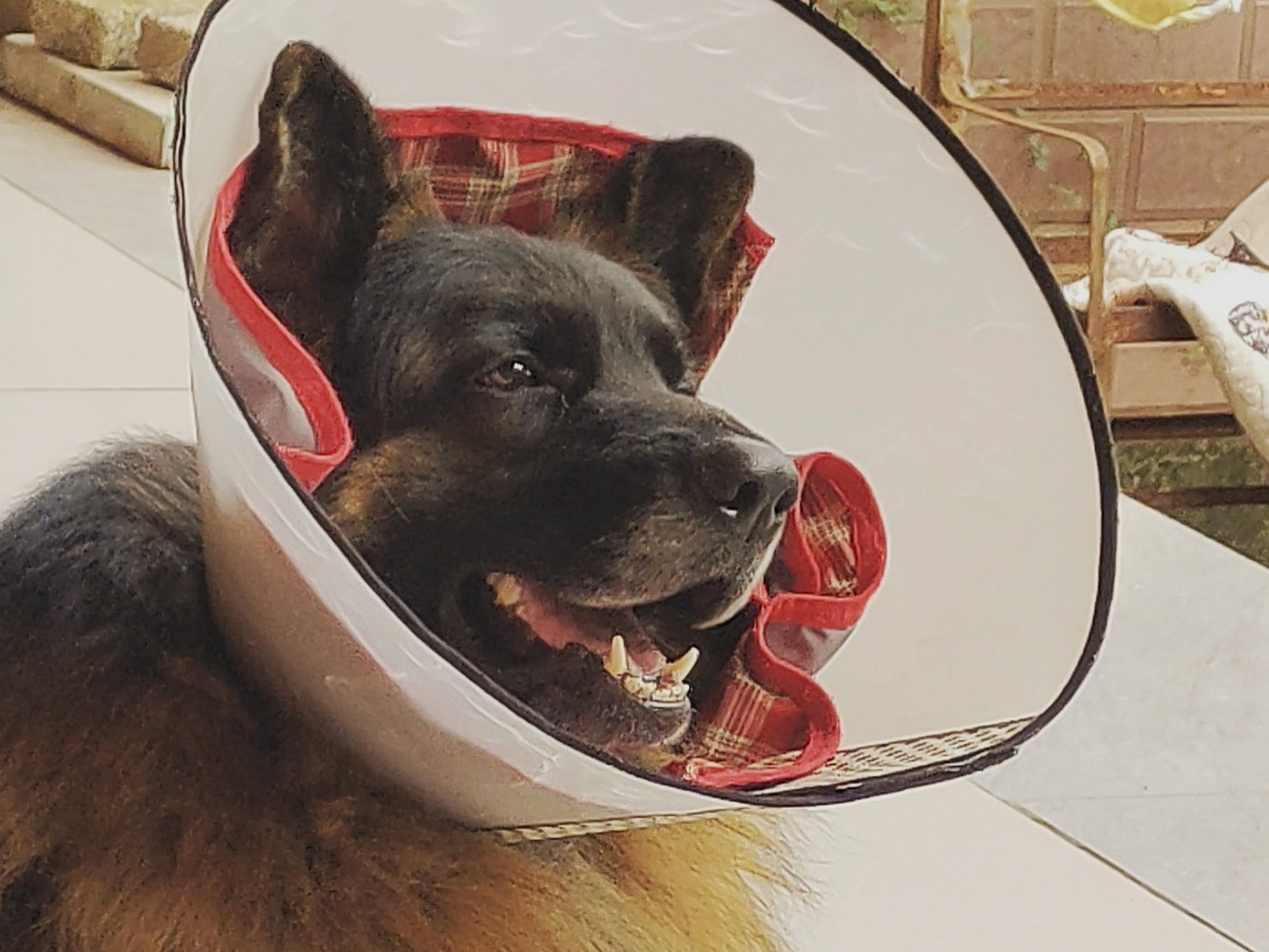 终于结束了限定红瞳和每天滴眼药水前打架的日子……