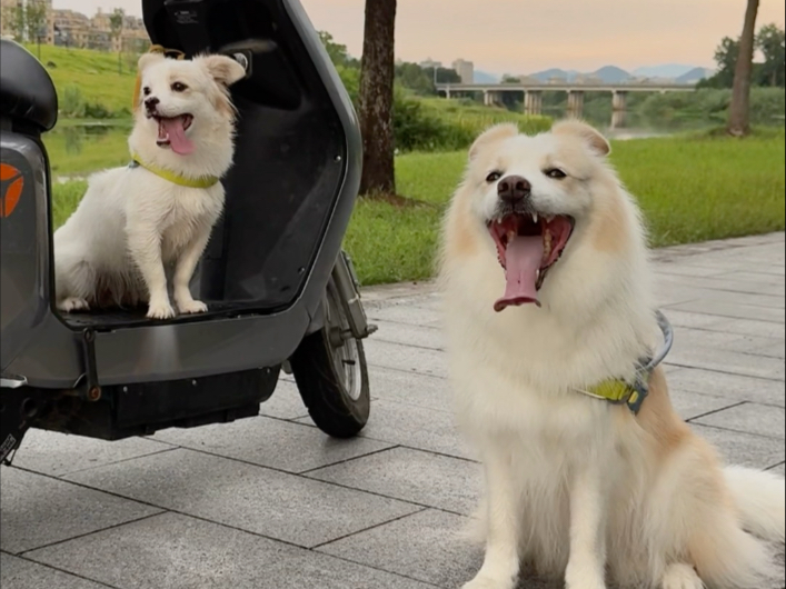 今天终于感觉好多了，可以更新了。正好下完雨特别凉快，可以带她