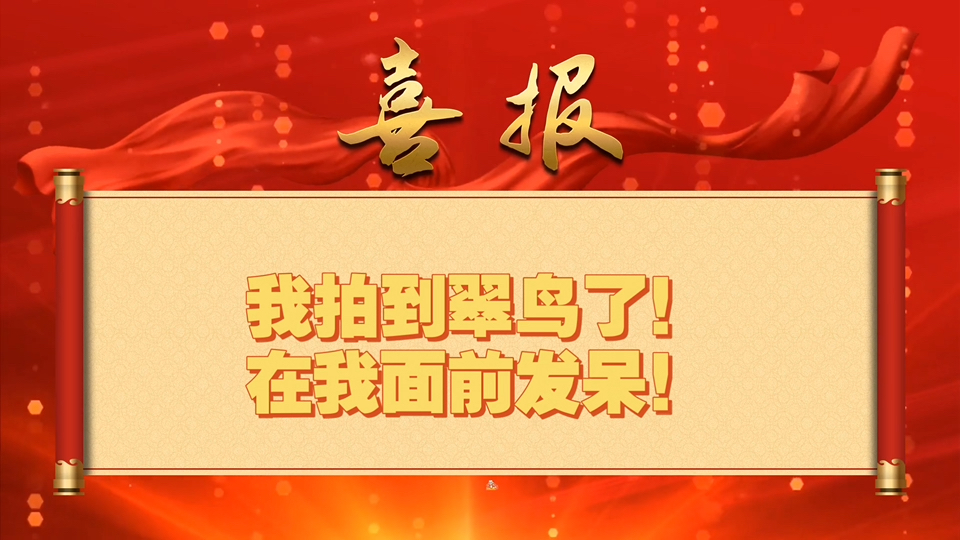 翠鸟！翠鸟！翠鸟！翠鸟！翠鸟！翠鸟！翠鸟！翠鸟！翠鸟！翠鸟！翠鸟！翠鸟！翠鸟！翠鸟