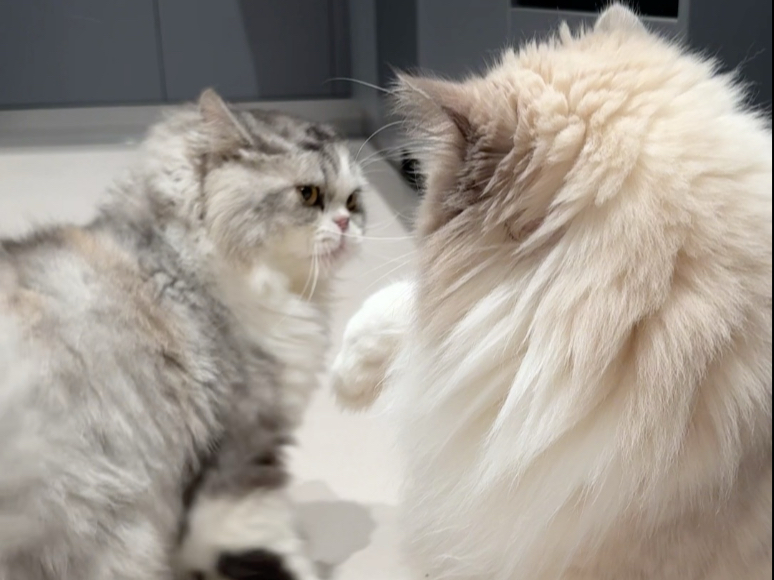 万：重生之我在家里当老大教育我的小弟