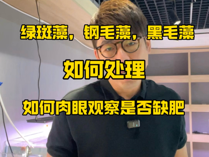 草缸绿斑，钢毛，黑毛藻类如何处理及如何观察是否需要加肥