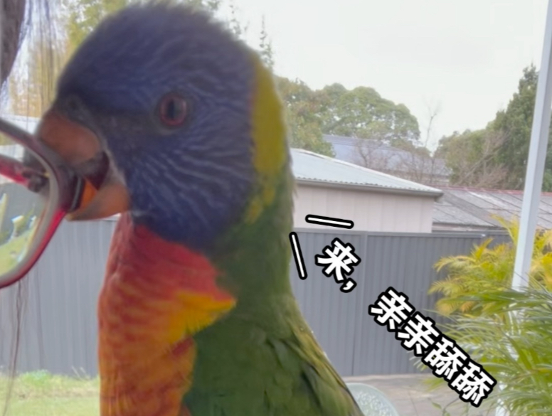 逗别人家娃时，自家娃突然回家(˃ ⌑ ˂ഃ )