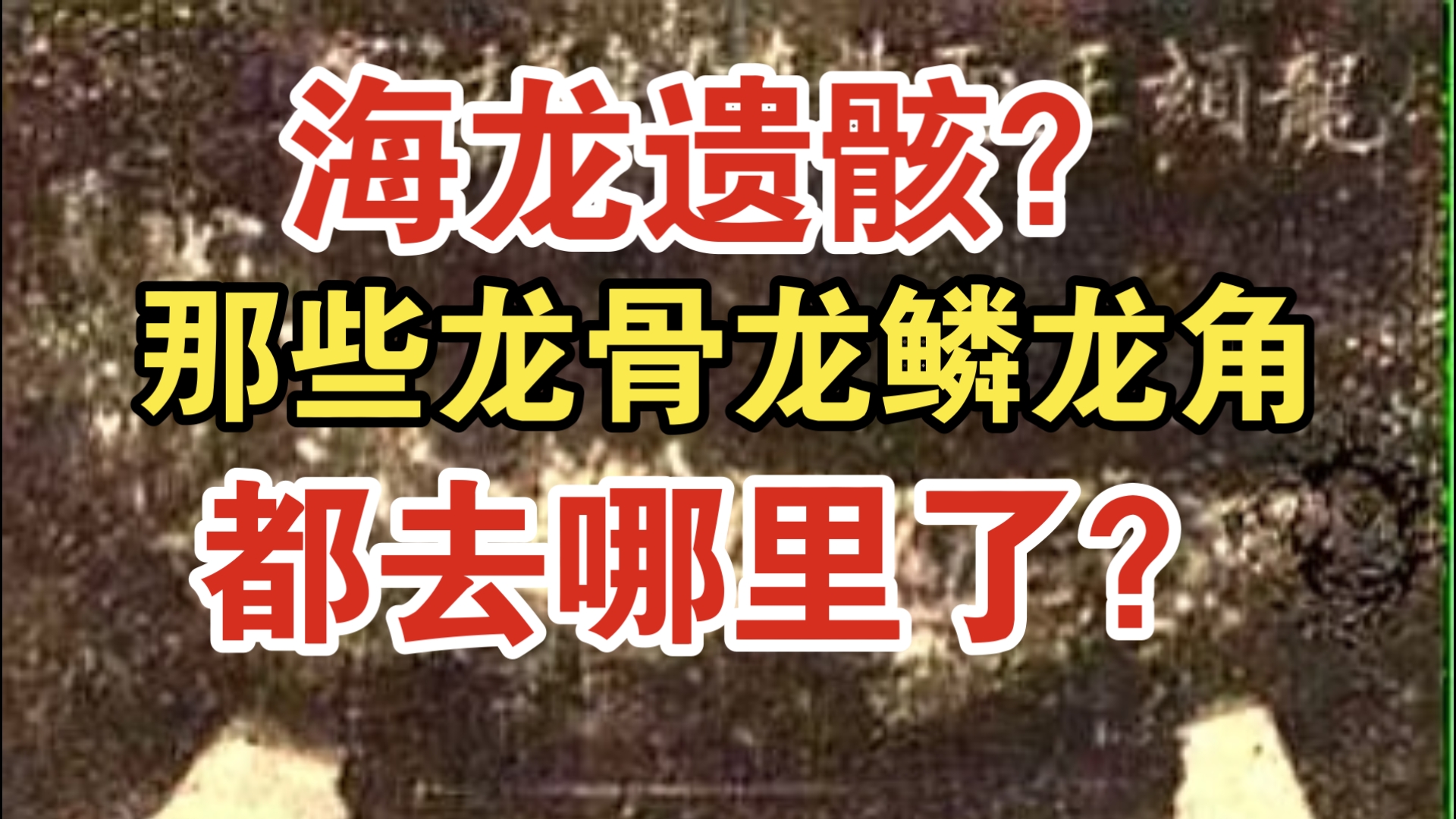 海龙遗骸？渔民打捞的龙角龙骨（疑似）被重金收购、拍照登报…龙的