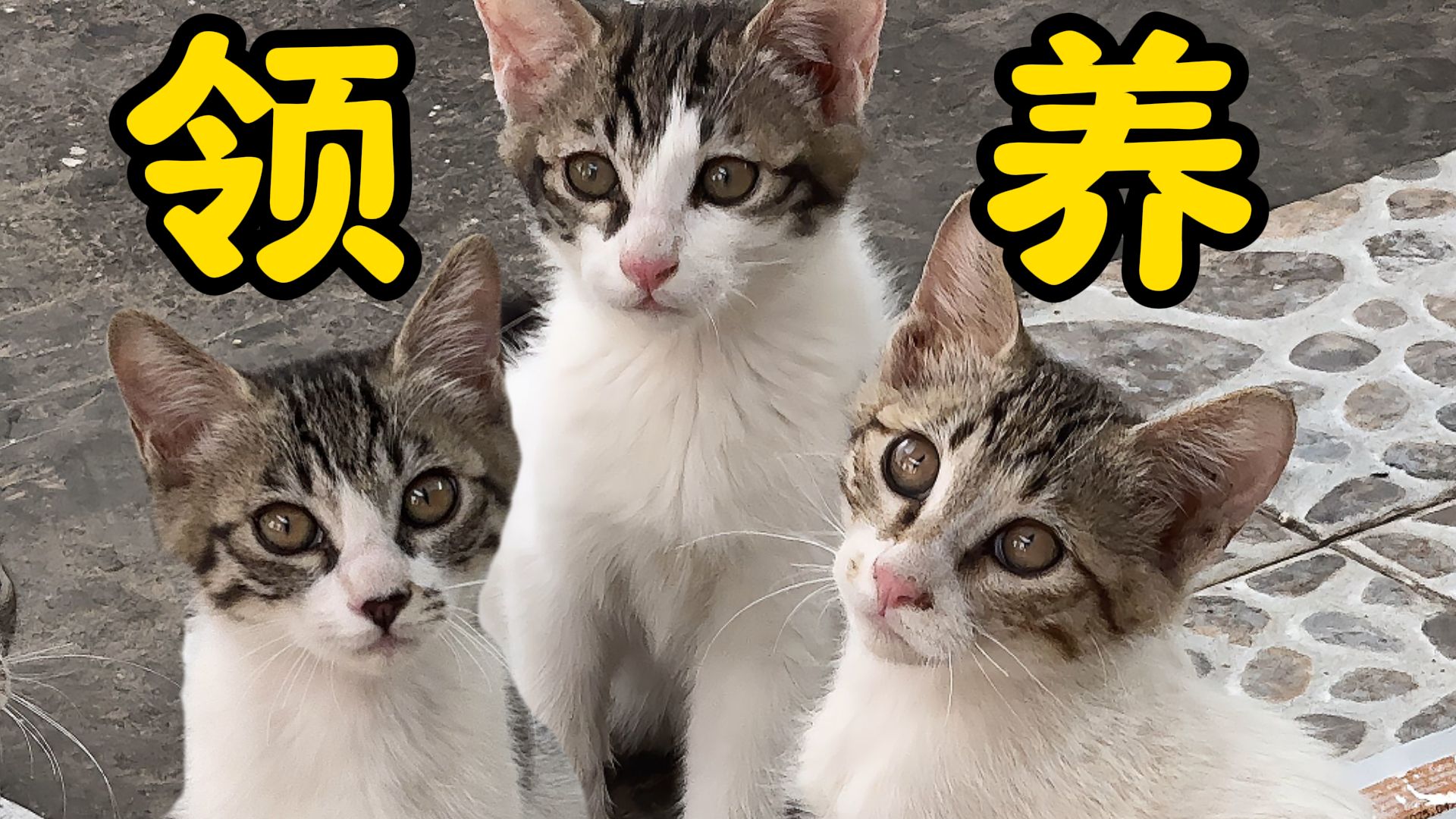 遇见你，是咪的福气