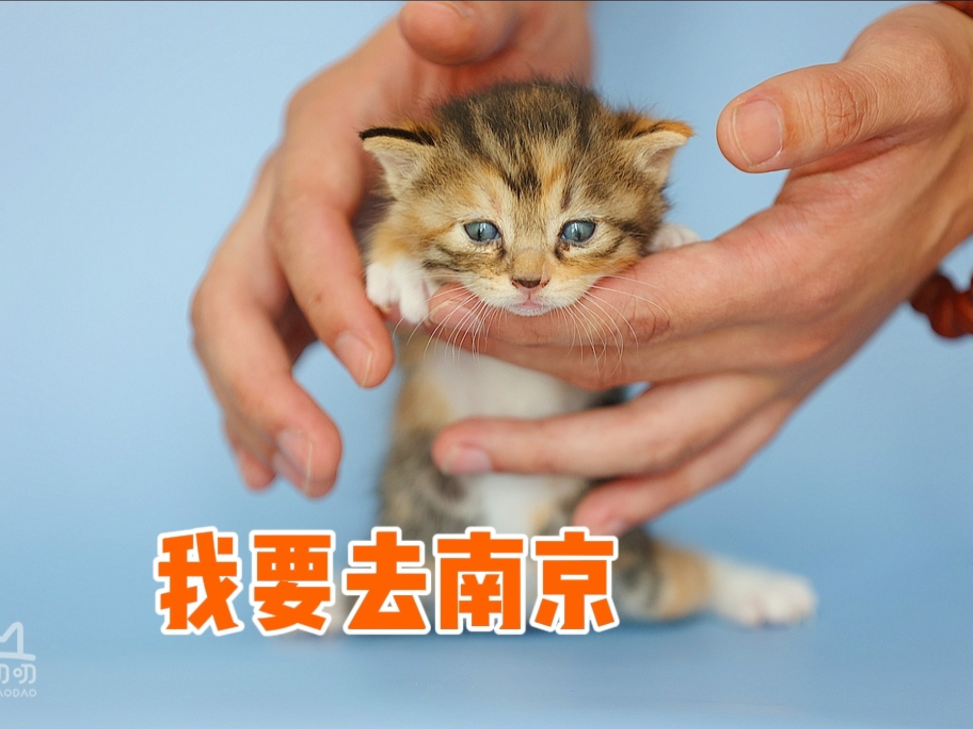 我要去南京