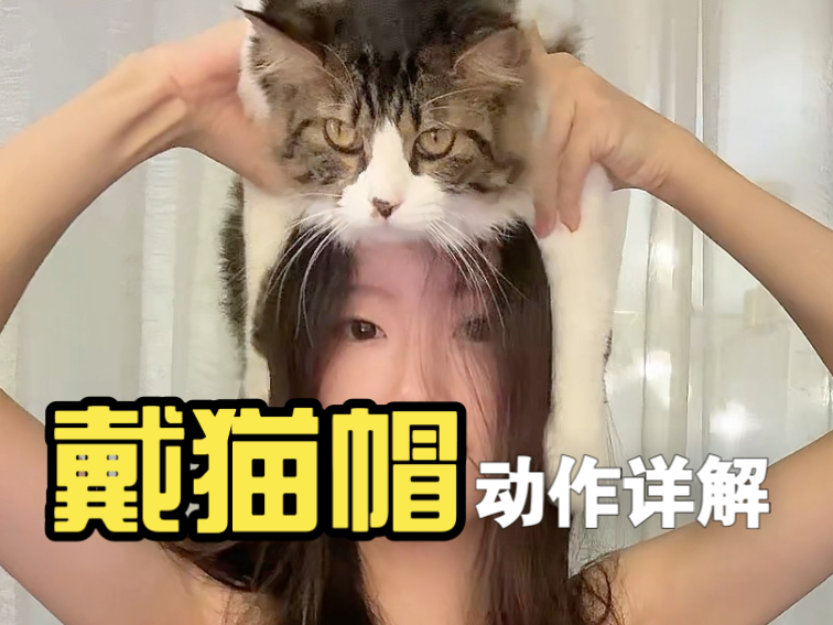 如何戴上秋天的第一顶毛茸帽