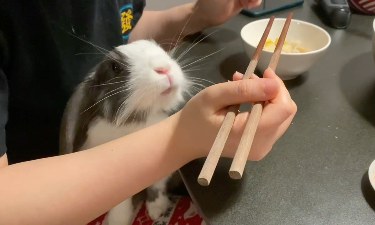 麻麻，我要上饭桌！