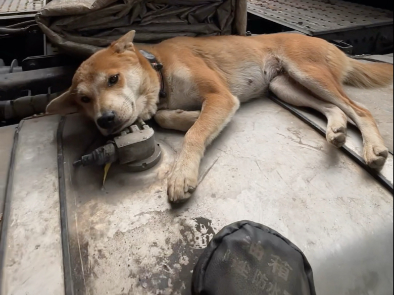 趴窝继续趴窝，运费太低了