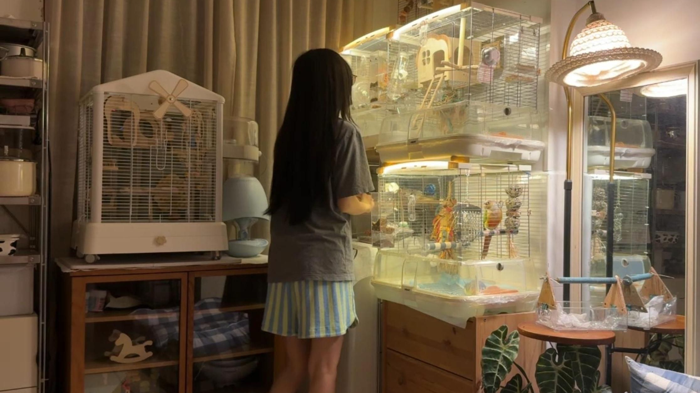 突然发现我好像过的也是一眼望到头的生活，深圳养鸟人下班后vl