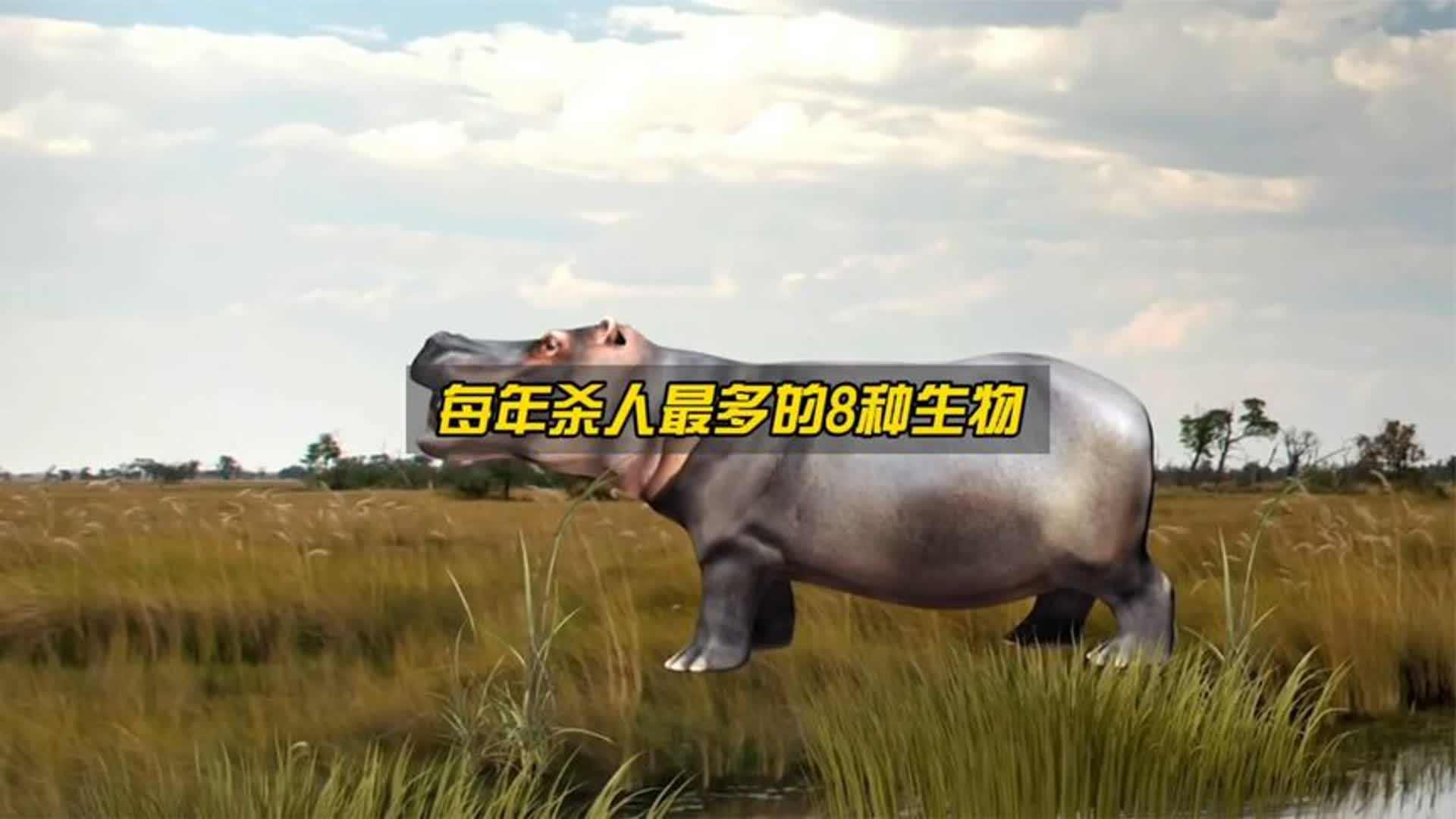 地球上每年杀人最多的8种生物，超出你的想象！