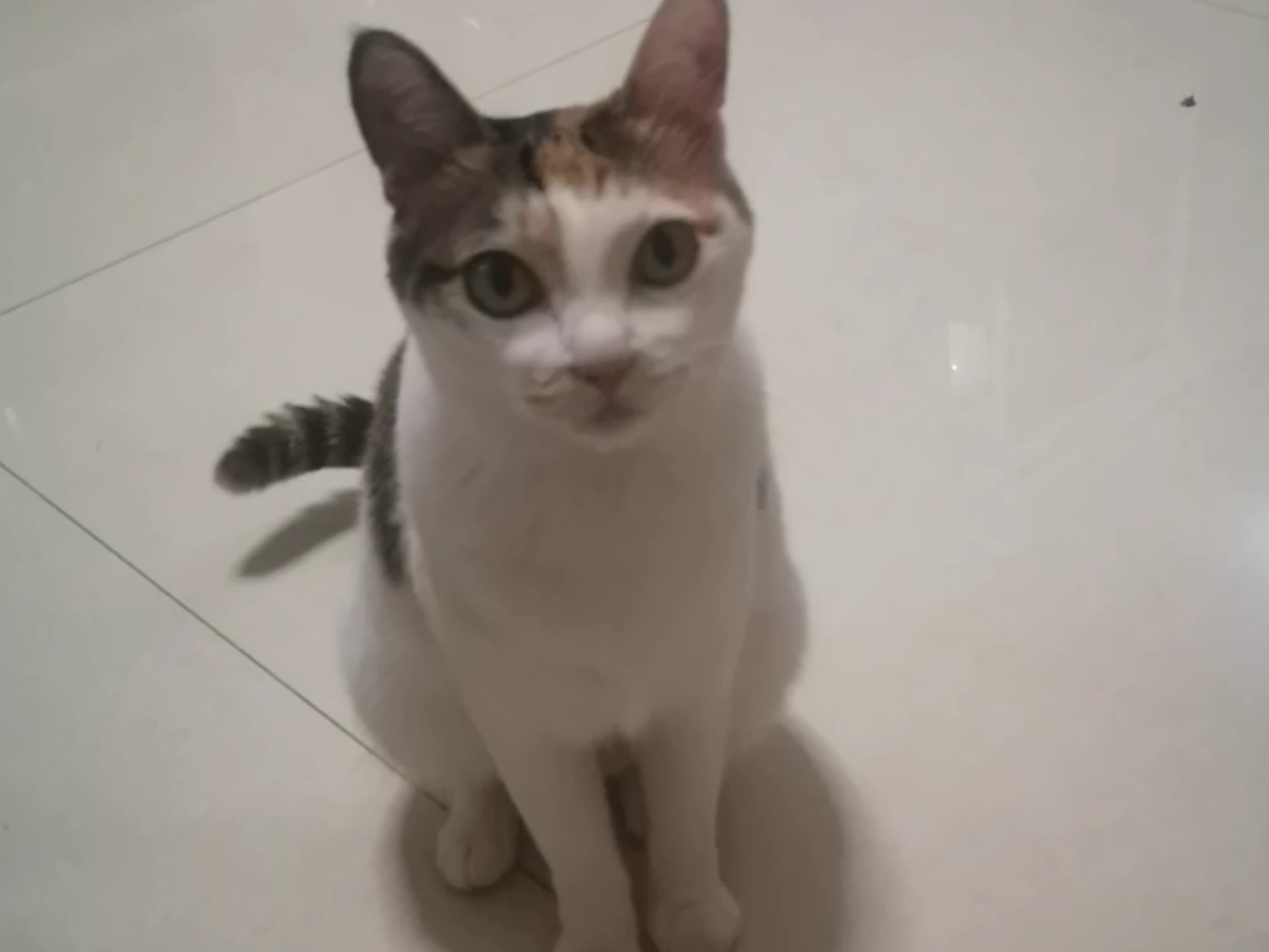 跟她犟我没赢过