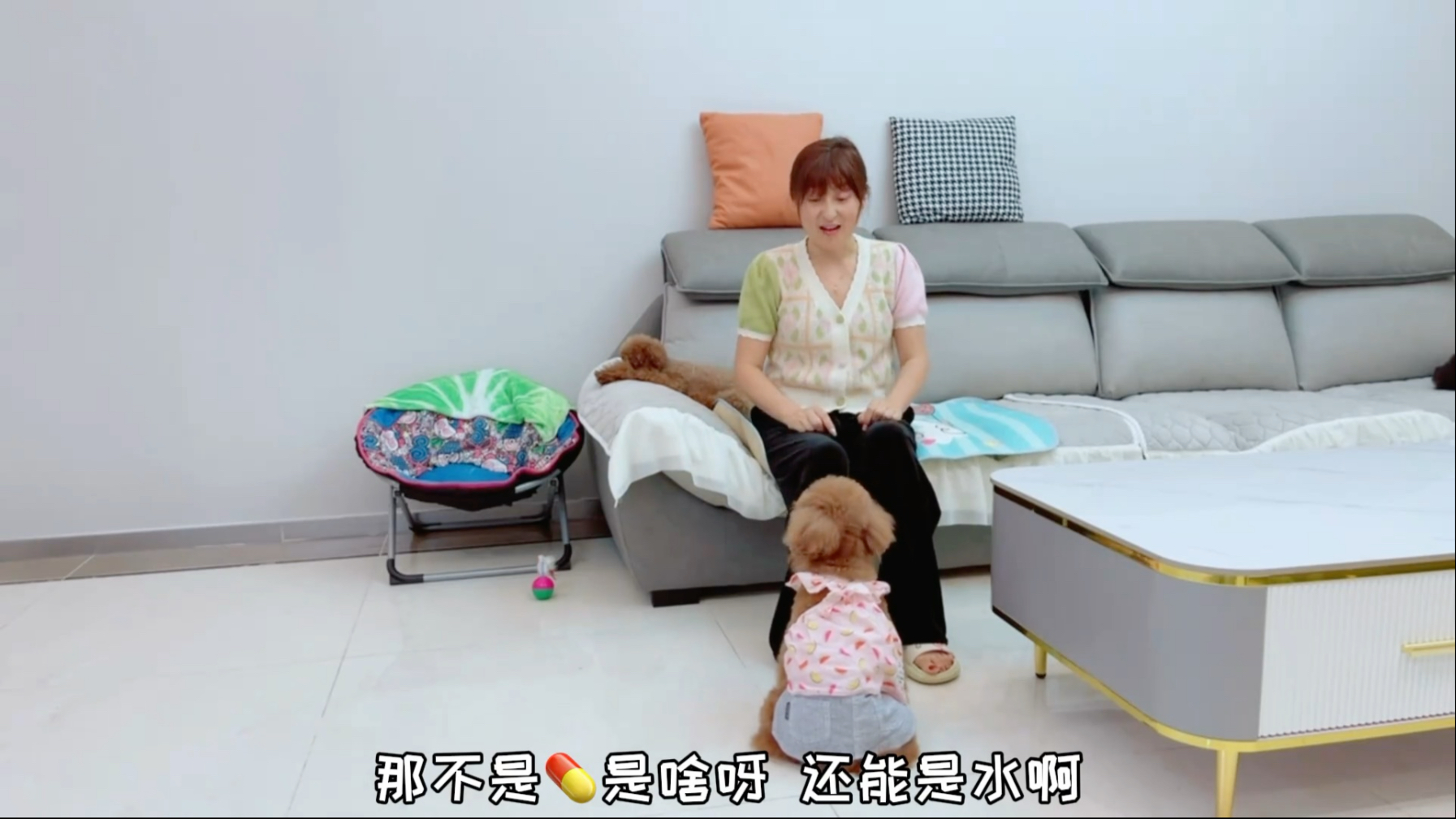 完了完了，艾米发现了妈妈骗它，差点没把我裤腿咬坏，这咋哄啊