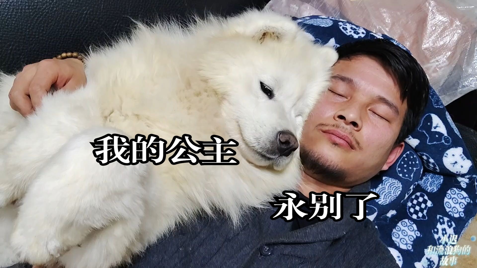 我的公主，永别了...
