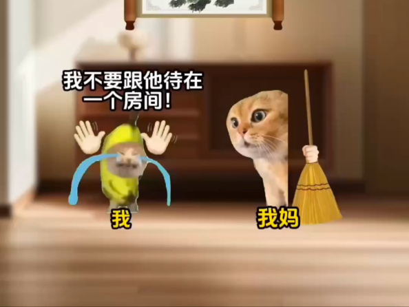 《保护我的》1～13纯享版