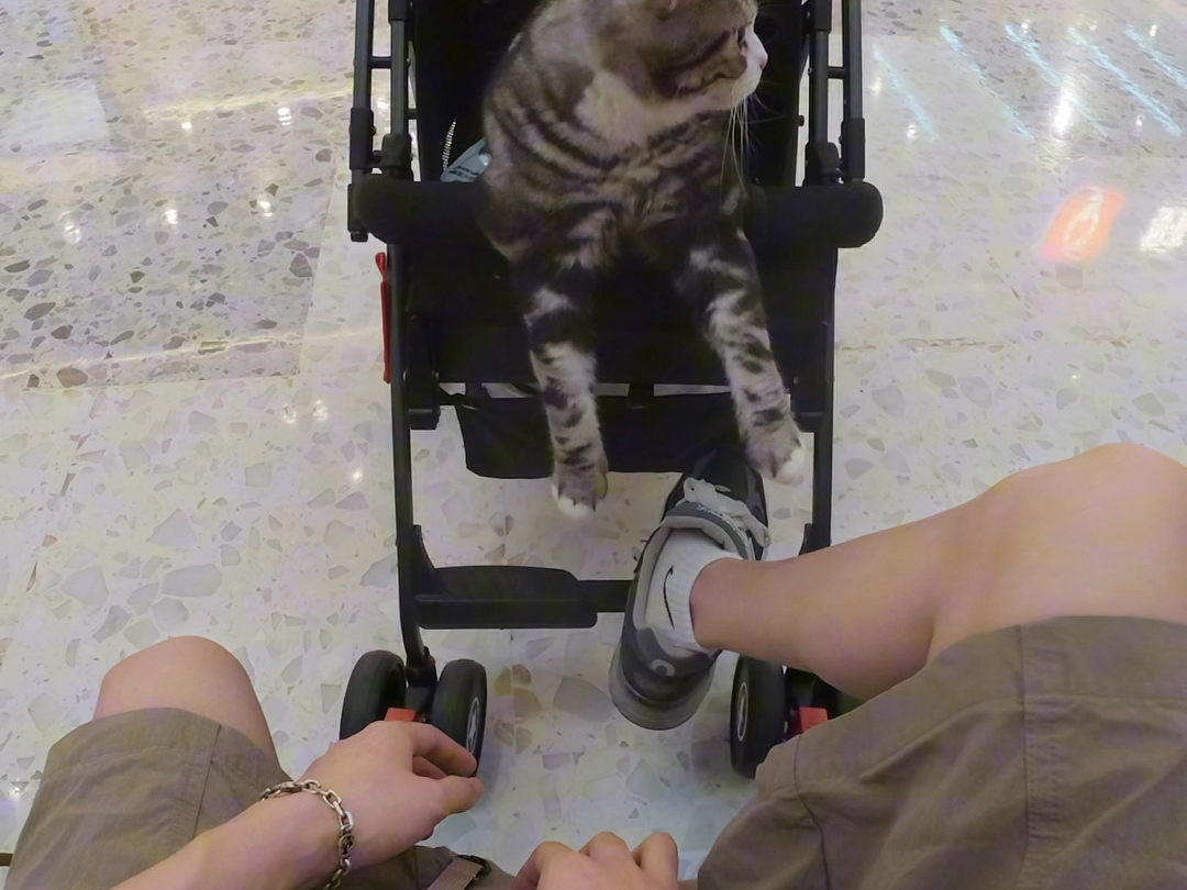 大龄青年的活泼生活