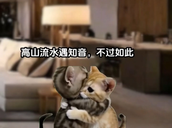 《团宠跟班》25