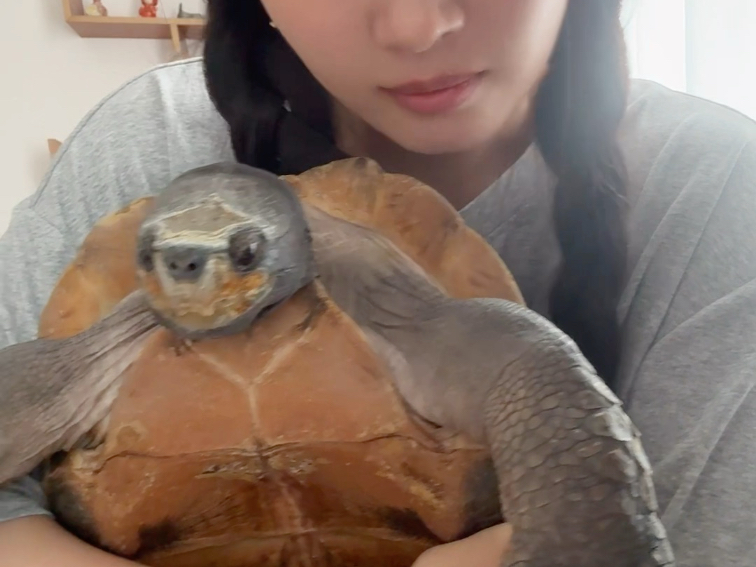 这就是宝宝呀