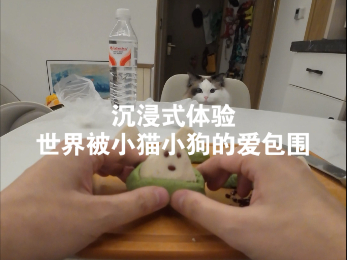 幸福没有公式，偏爱和细心就是解。