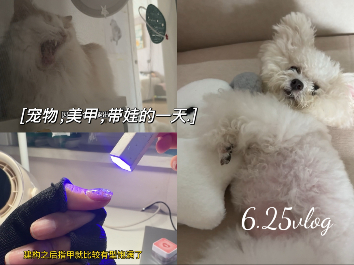 蛋蛋也是有狗宝宝了，都不愿理我了，烜烜考试结束终于拿到新平板