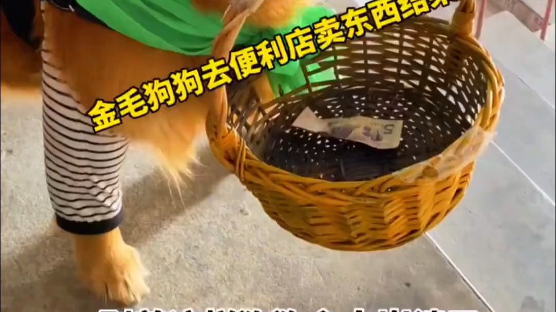 全网最能磨蹭慢了慢了的
