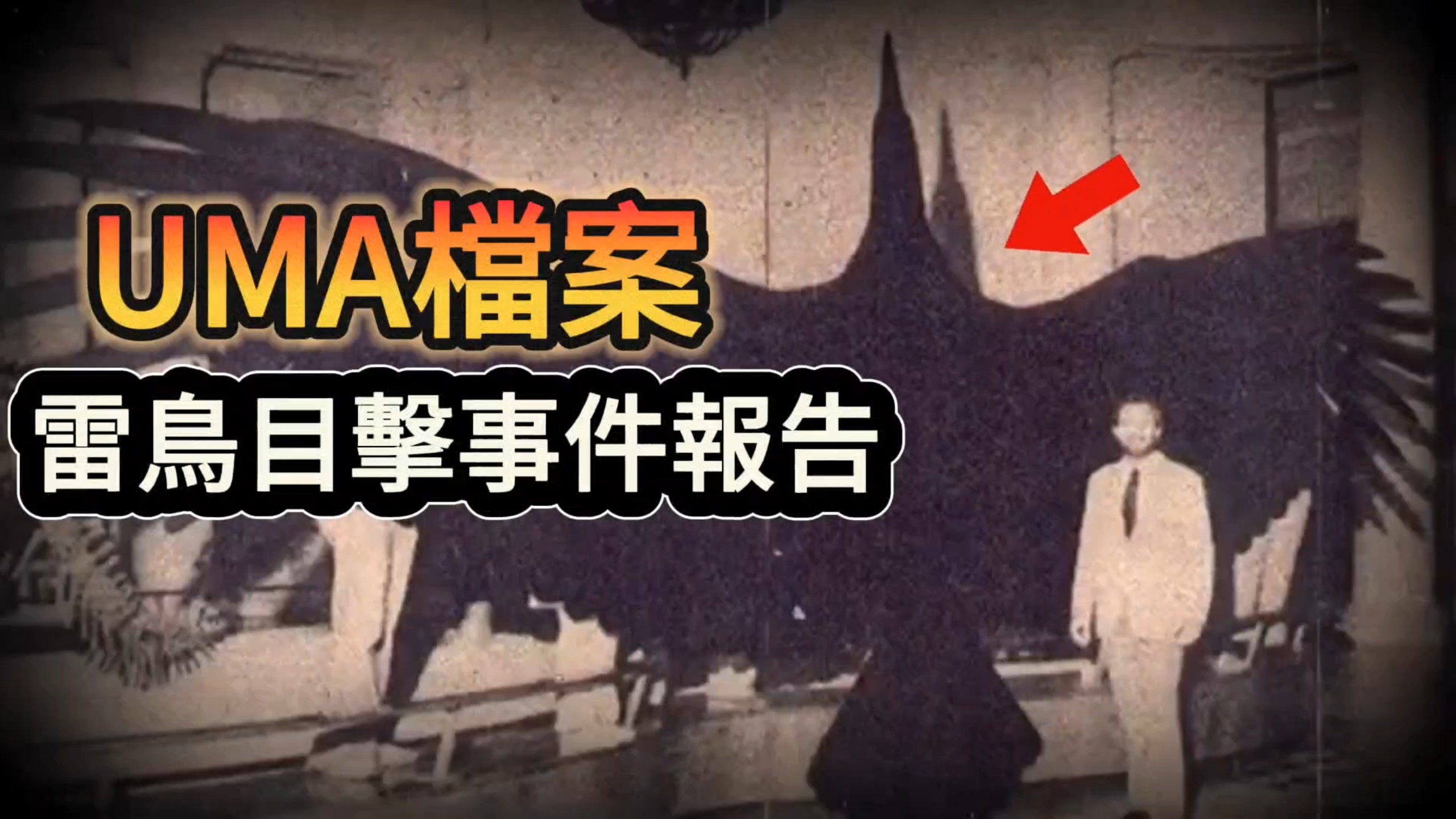 《UMA檔案系列》雷鸟谜团：政府压制下，天空中不为人知的巨兽真