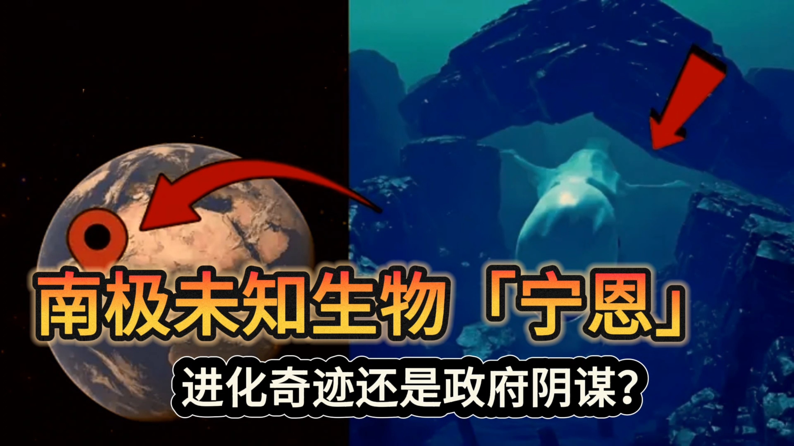 《UMA档案系列》南极惊现巨型未知生物「宁恩」：是新物种、进