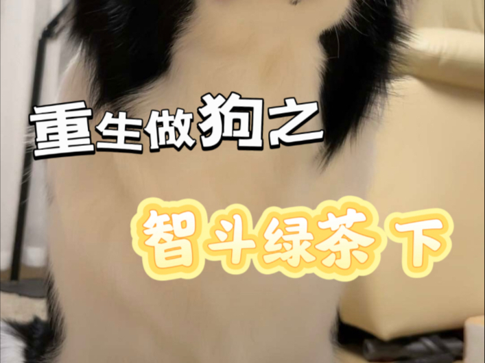 重生做狗之：智斗绿茶 下