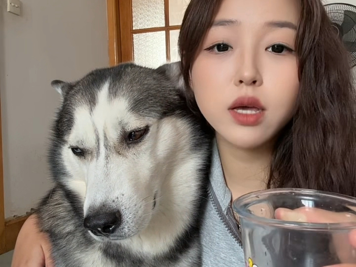 英雄事迹 全因养了8K说起哈哈哈哈哈哈