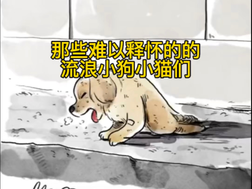 那些难以释怀的的流浪小狗小猫们