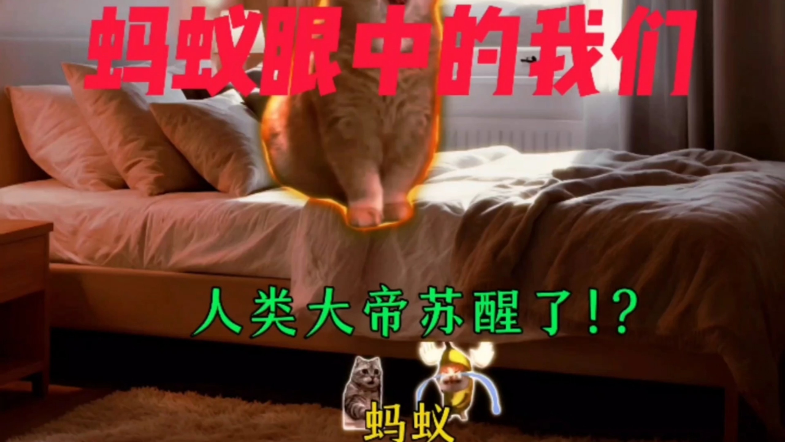 蚂蚁眼中的我们——《抽象时刻》(大合集)