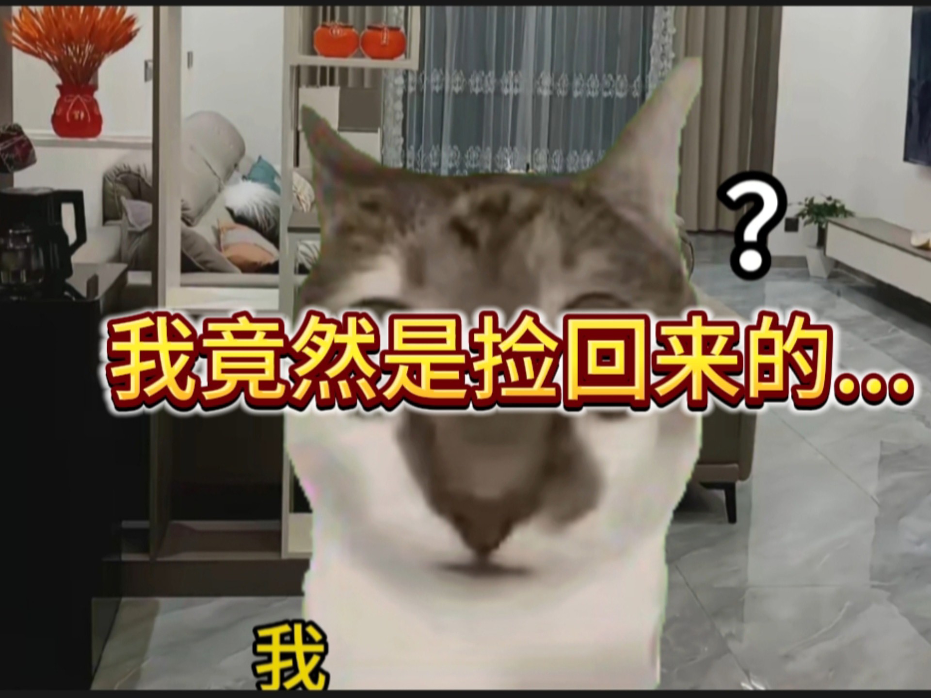 我竟然是捡来的...合集版