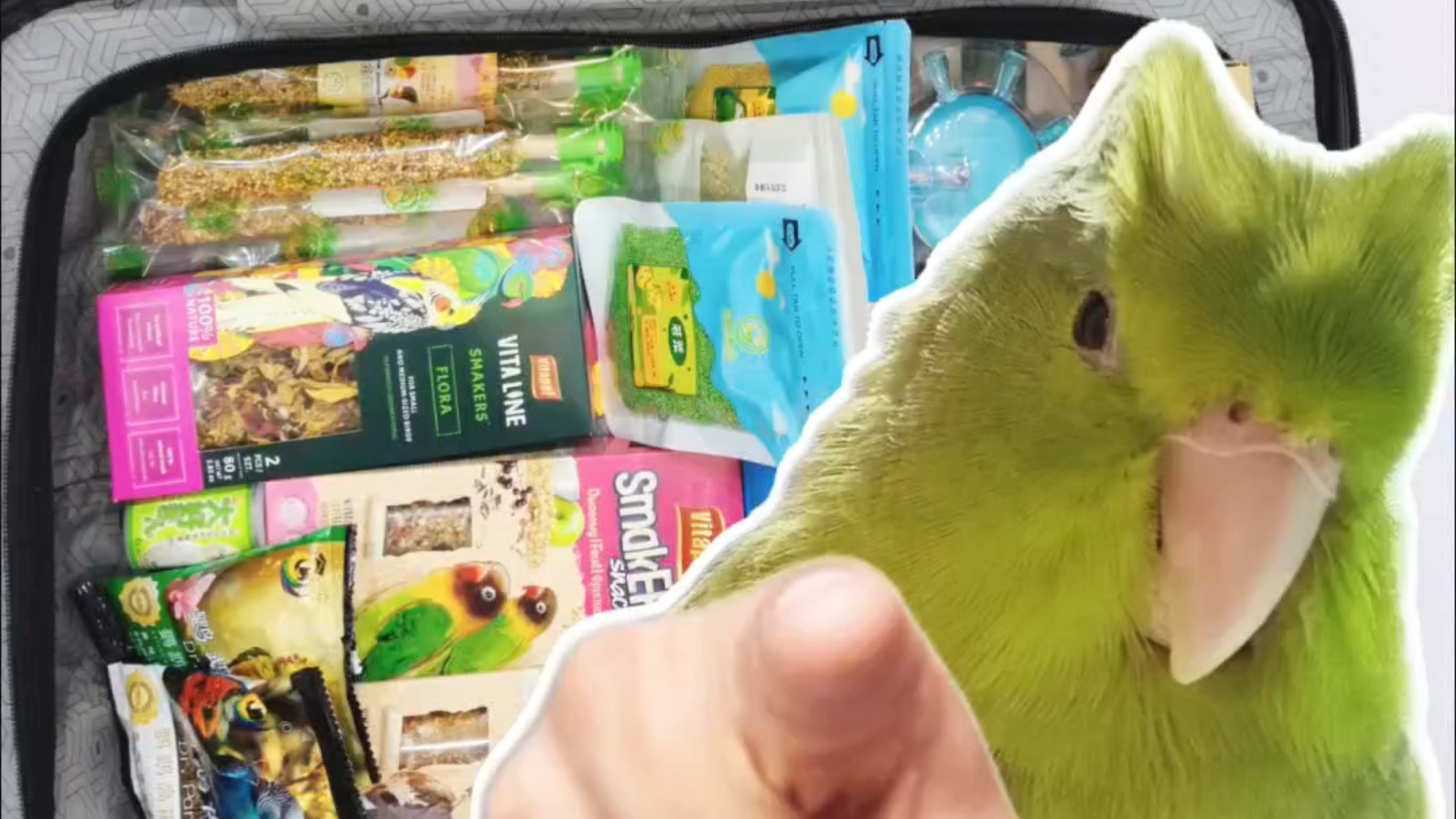 25亚宠展养鸟人云逛展Vlog（薅羊毛版）