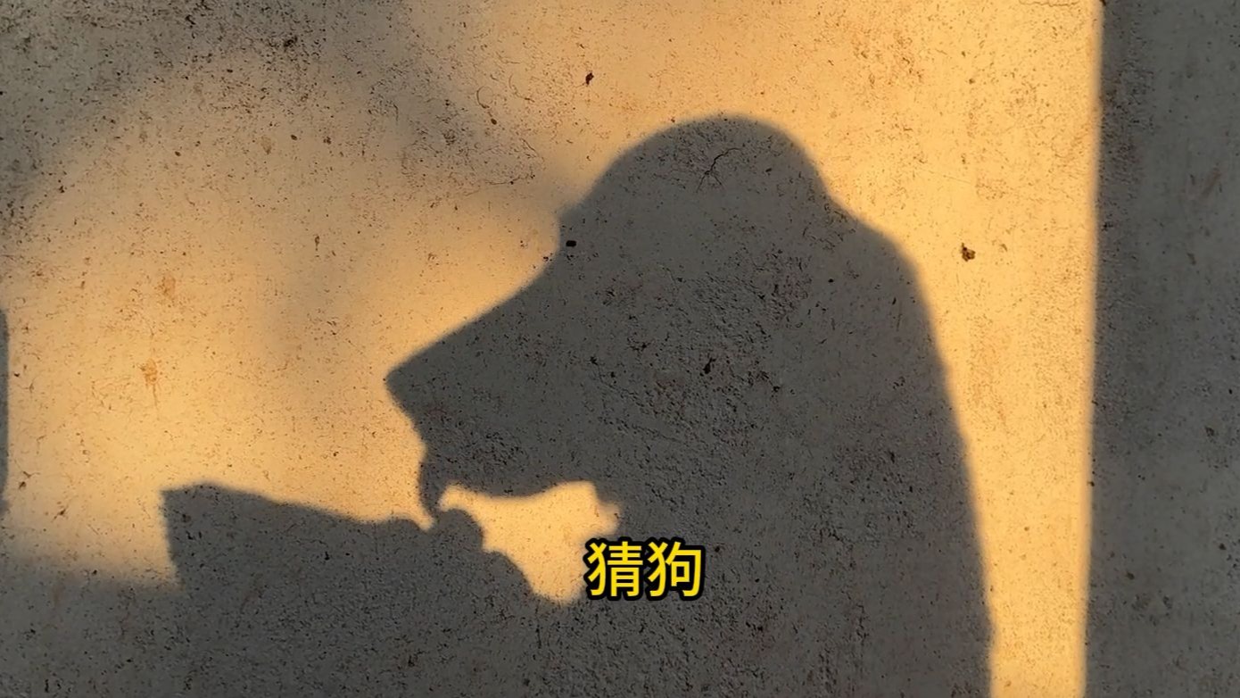 狗子：猜猜我是谁