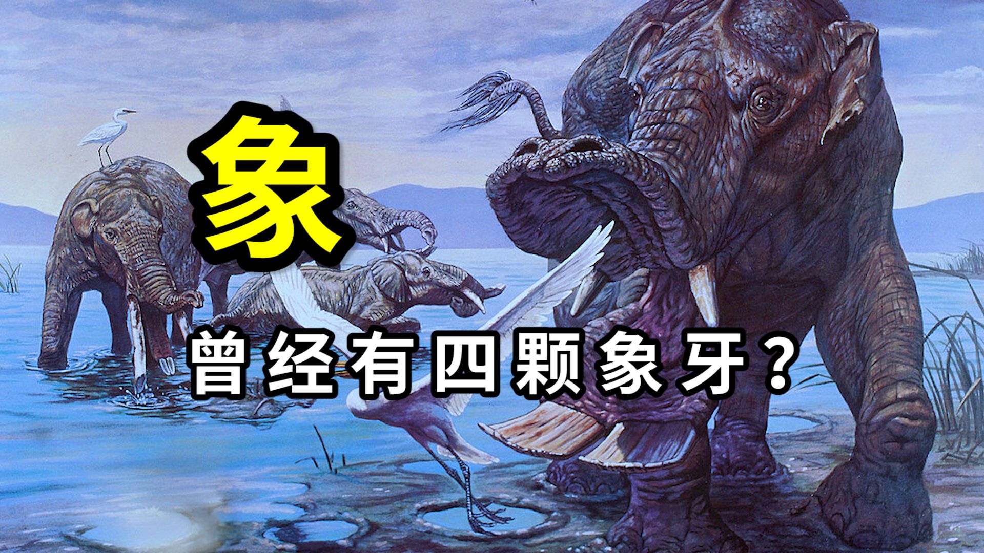 象牙演化之谜：象牙为何从4颗演化为2颗？