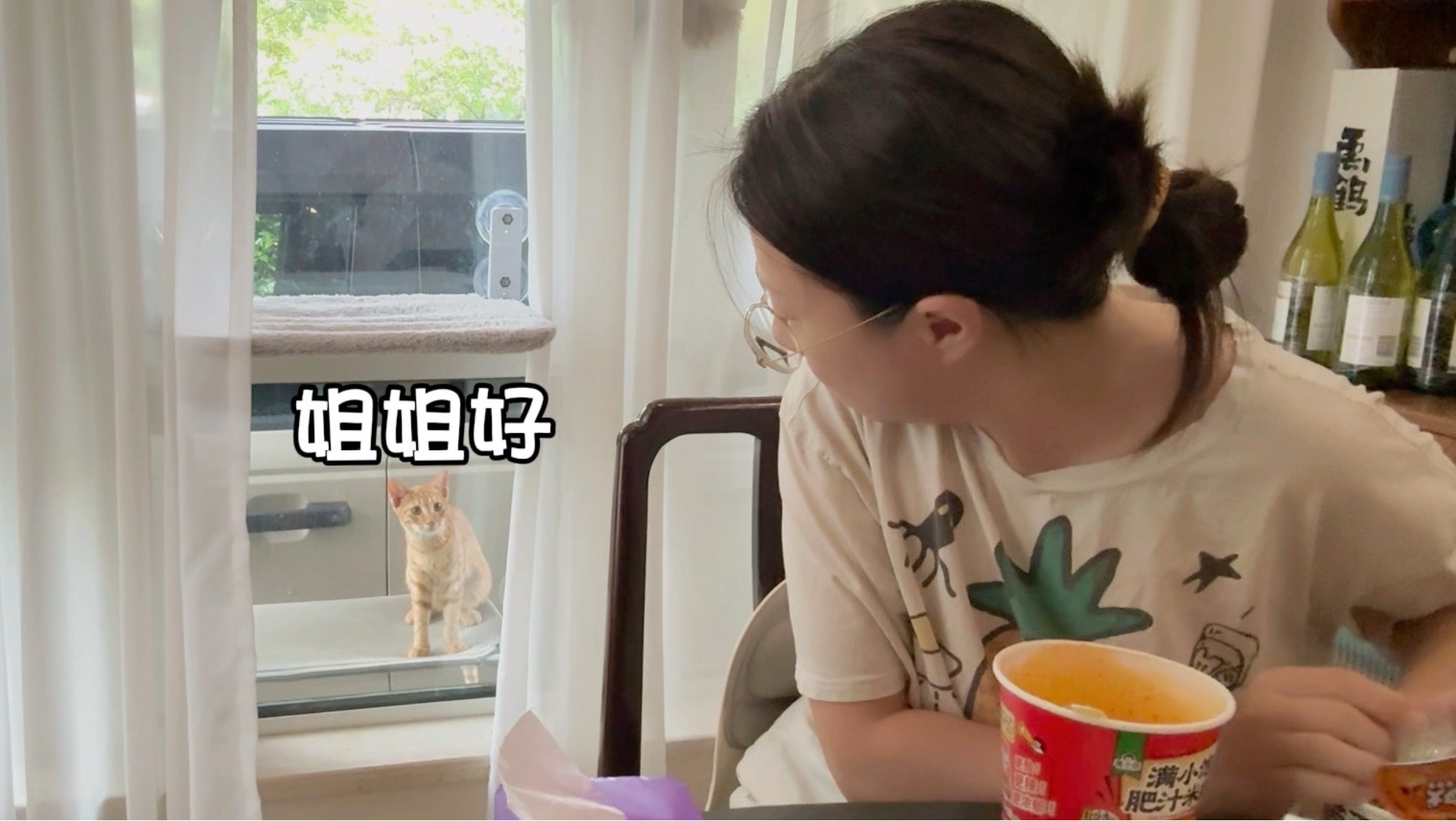 院子里的小猫咪嘴都让我喂挑食了