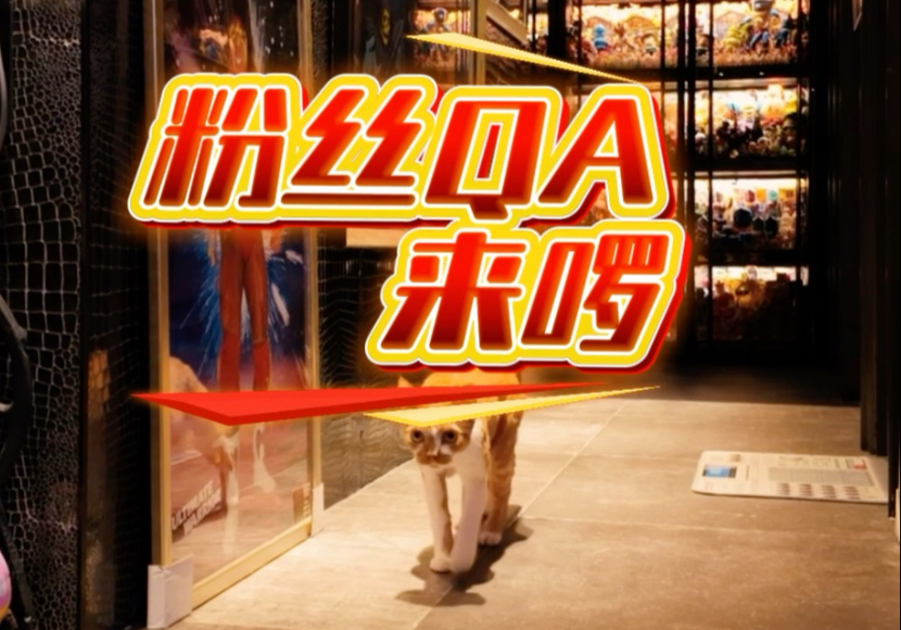 还有其他想问我的问题吗？