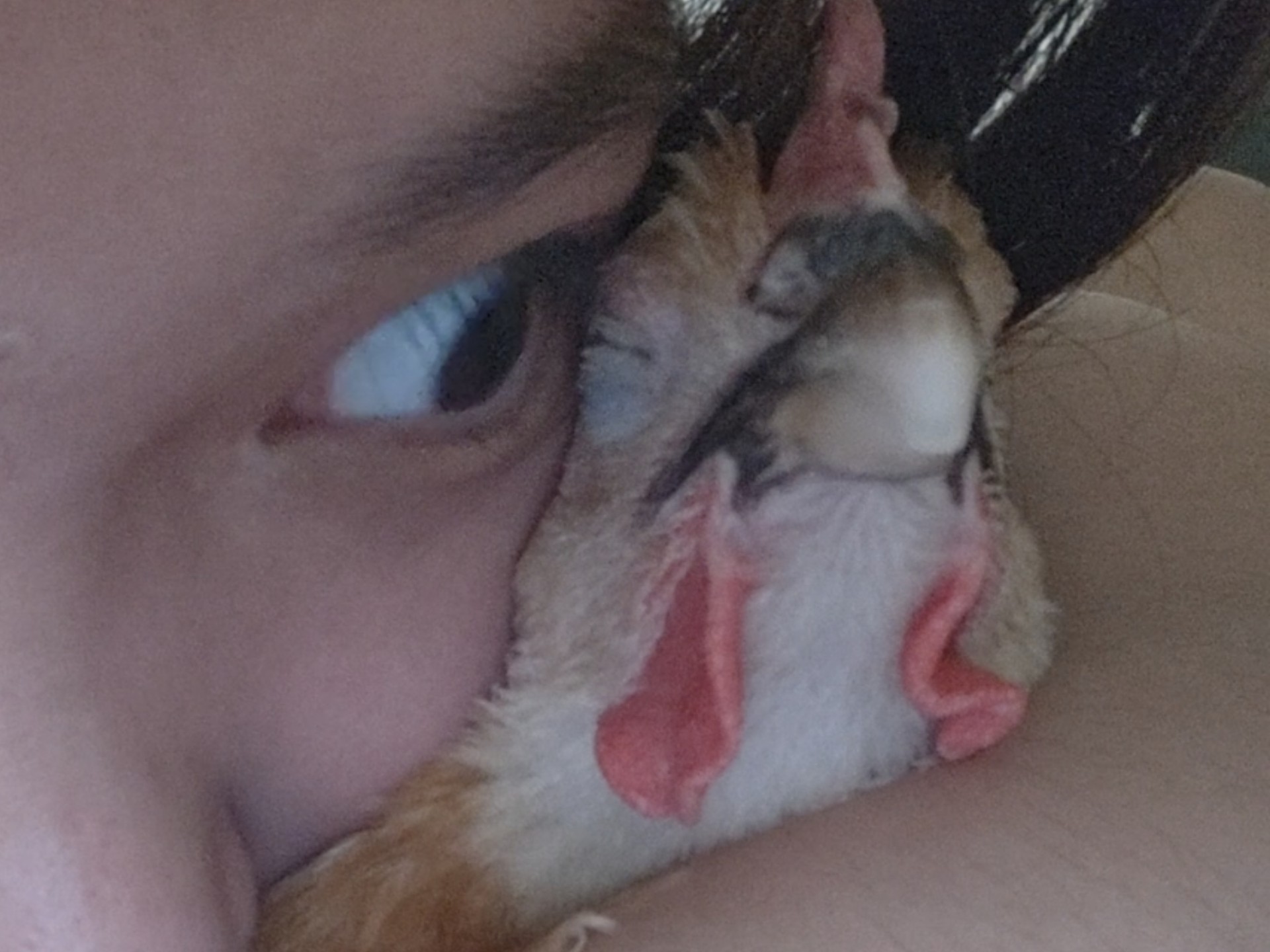 这是b站第一食鸡娘娘你敢跟她对视超过3秒钟吗？