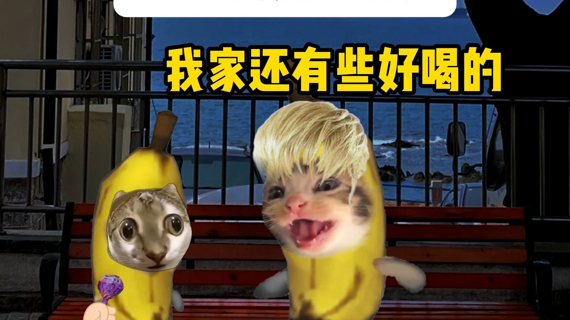 “还以为你和我一样都没有家”