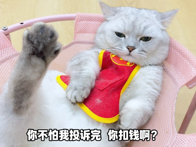 我只是暑期工我怕什么