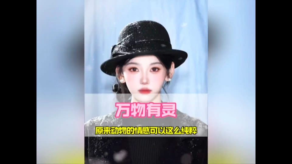 “原来动物的感情也可以这么纯粹，这三把宠物刀可以接住吗？”