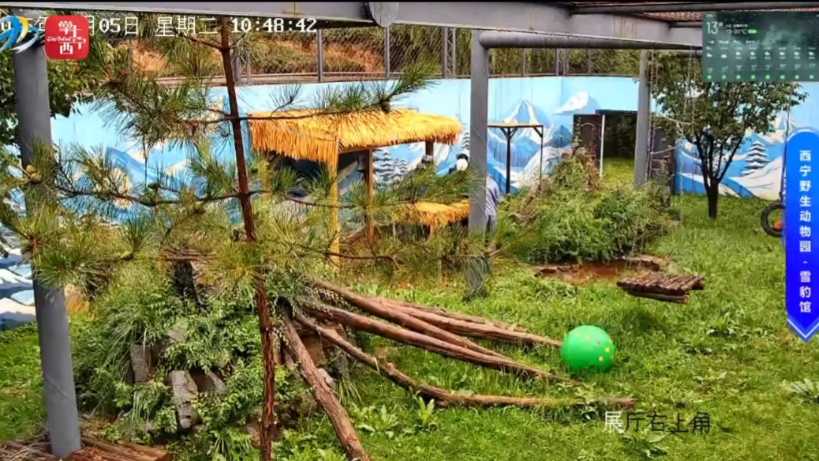 今天小蛰没上班，但是三老师给它安装板子了